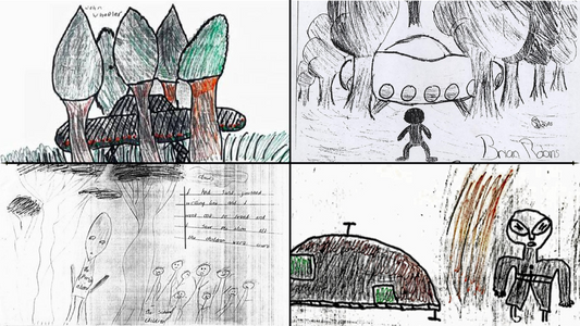 The Ariel School UFO Encounter